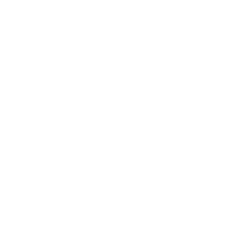 Beyond the Blueprint